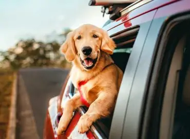 découvrez les arnaques automobiles les plus courantes et apprenez à les éviter. protégez-vous contre les escroqueries en ligne et physiques lors de l'achat ou de la vente de voitures. informez-vous avec nos conseils pratiques et restez vigilant pour sécuriser votre transaction.