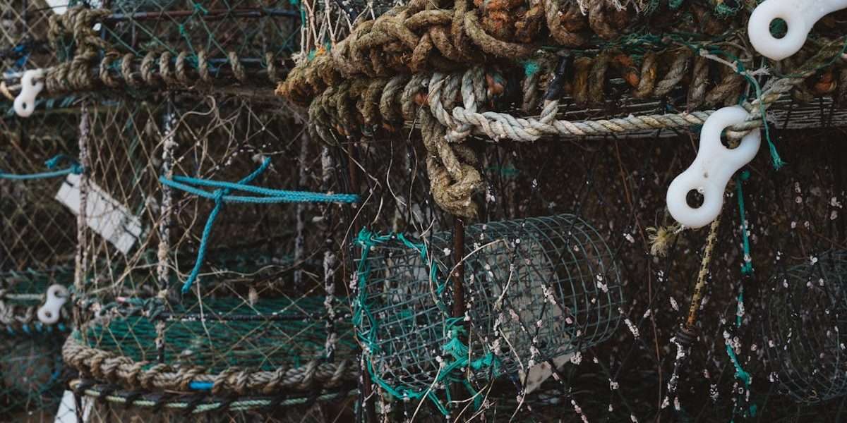découvrez les différences entre le salaire brut et le salaire net : comprendre les déductions fiscales, les cotisations sociales et l'impact sur votre revenu. informez-vous sur la manière dont ces éléments affectent votre paie et comment mieux gérer vos finances.