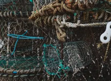 découvrez les différences entre le salaire brut et le salaire net : comprendre les déductions fiscales, les cotisations sociales et l'impact sur votre revenu. informez-vous sur la manière dont ces éléments affectent votre paie et comment mieux gérer vos finances.