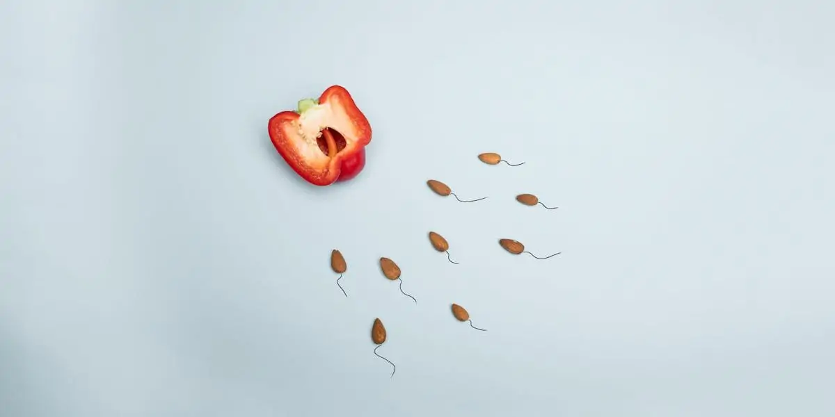 découvrez tout sur la gestation pour autrui (surrogacy) : un processus touchant qui permet à des couples de réaliser leur rêve d'avoir un enfant. informez-vous sur les étapes, les aspects légaux et éthiques, ainsi que les témoignages de ceux qui ont vécu cette expérience unique.