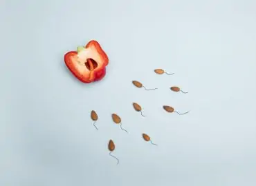 découvrez tout sur la gestation pour autrui (surrogacy) : un processus touchant qui permet à des couples de réaliser leur rêve d'avoir un enfant. informez-vous sur les étapes, les aspects légaux et éthiques, ainsi que les témoignages de ceux qui ont vécu cette expérience unique.