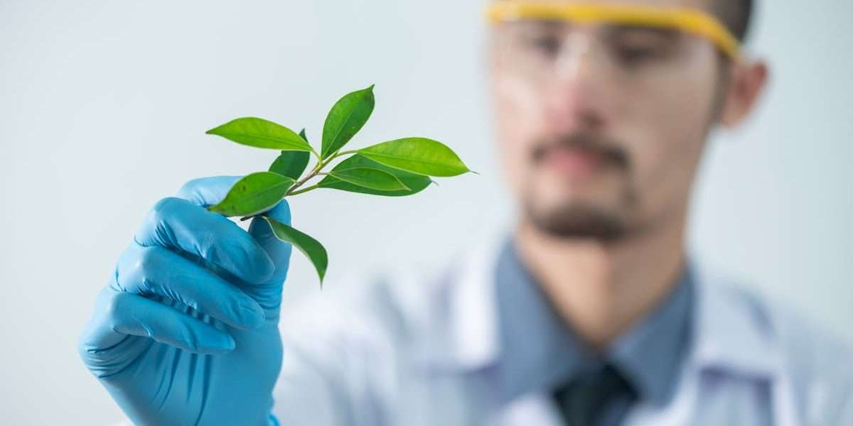 découvrez l'importance de l'étiquetage des produits pour assurer la conformité, la transparence et la satisfaction des consommateurs. apprenez les meilleures pratiques, les réglementations et les tendances actuelles en matière d'étiquetage.