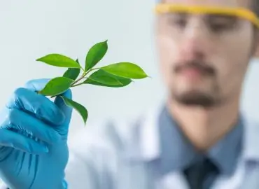 découvrez l'importance de l'étiquetage des produits pour assurer la conformité, la transparence et la satisfaction des consommateurs. apprenez les meilleures pratiques, les réglementations et les tendances actuelles en matière d'étiquetage.