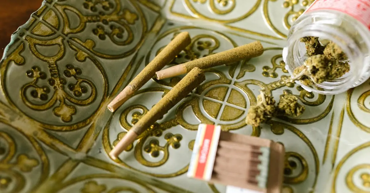 découvrez les derniÚres évolutions de la législation sur le cannabis en france. informez-vous sur les lois, les débats en cours et l'impact sur la société à travers des analyses approfondies et des ressources utiles.