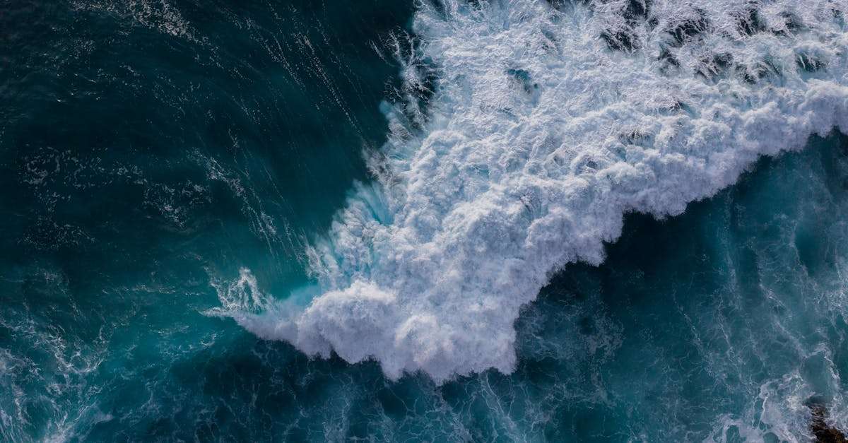 découvrez les enjeux et l'importance de la délégation de pouvoir dans les organisations. apprenez comment une gestion efficace peut optimiser la prise de décision et renforcer la confiance au sein des équipes.