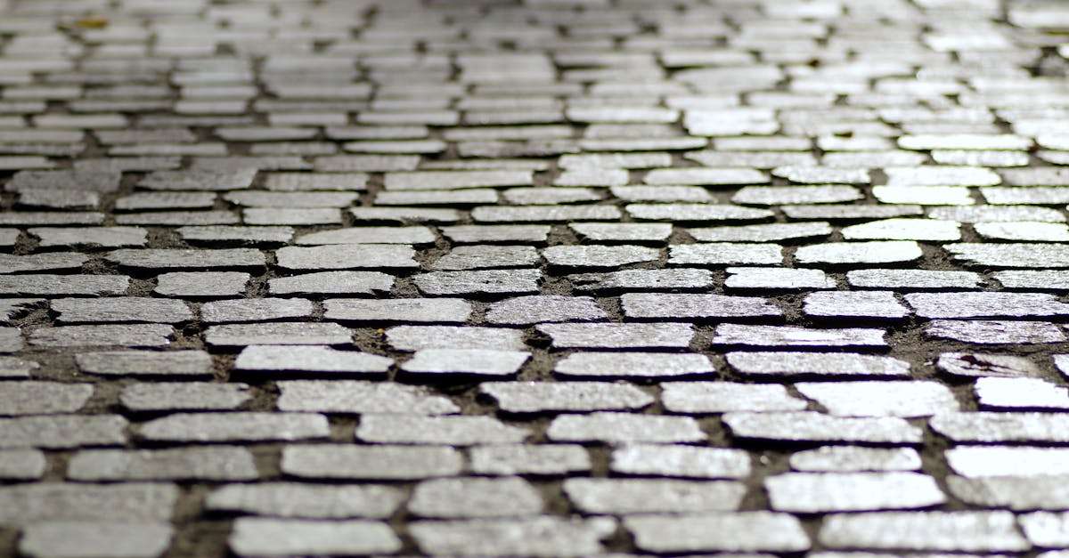 découvrez tout ce que vous devez savoir sur le droit de passage. apprenez les règles, les responsabilités et les implications juridiques liées à l'utilisation des chemins et des terrains. une ressource essentielle pour les propriétaires et les passionnés de législation foncière.
