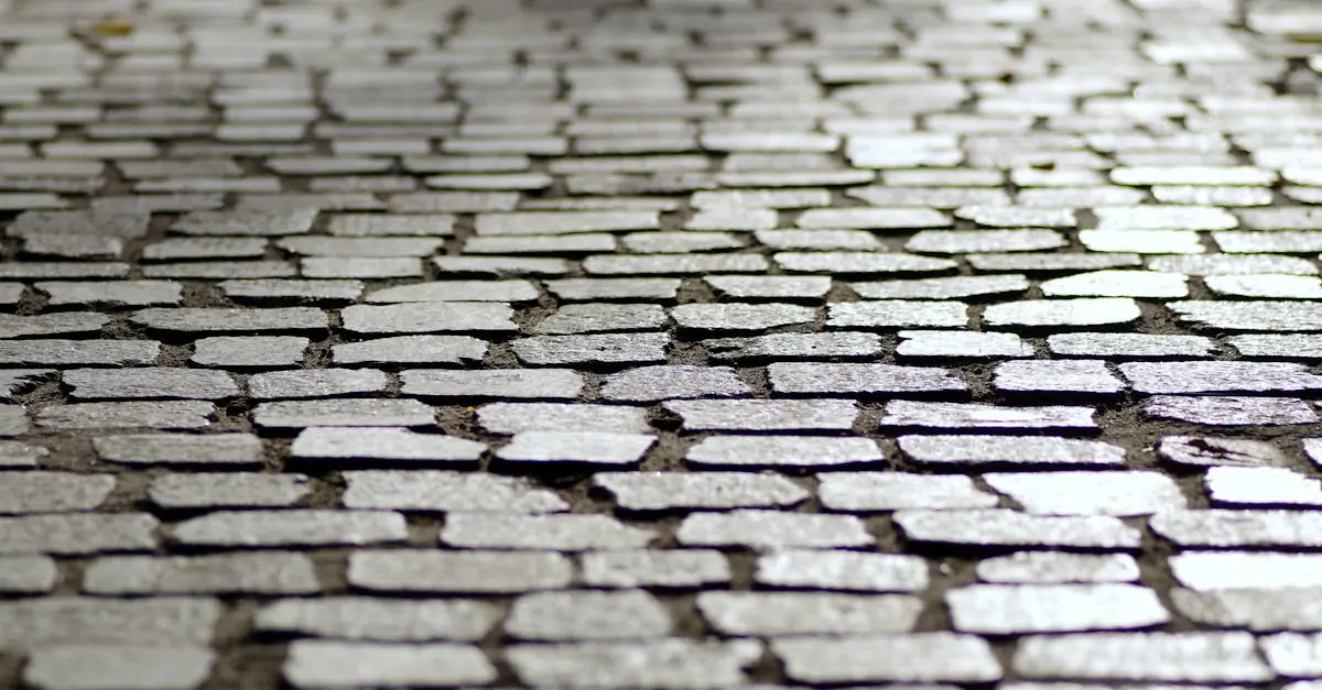 découvrez tout ce que vous devez savoir sur le droit de passage. apprenez les rÚgles, les responsabilités et les implications juridiques liées à l'utilisation des chemins et des terrains. une ressource essentielle pour les propriétaires et les passionnés de législation fonciÚre.