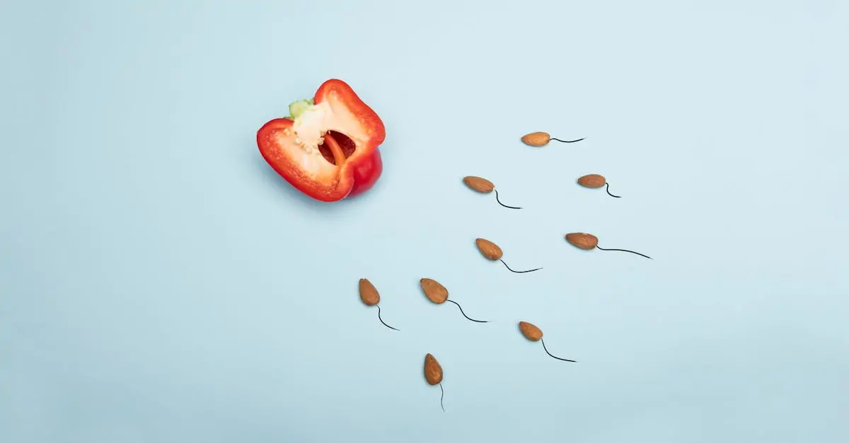 dĂ©couvrez tout ce que vous devez savoir sur la gestation pour autrui (surrogacy) : processus, aspects lĂ©gaux, perspectives Ă©thiques et tĂ©moignages. informez-vous sur cette alternative familiale qui aide des couples Ă rĂ©aliser leur rĂȘve d'avoir un enfant.