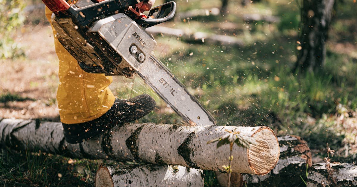 découvrez les réglementations essentielles concernant l’abattage d’arbres : démarches obligatoires, autorisations requises et bonnes pratiques pour respecter la législation en vigueur.