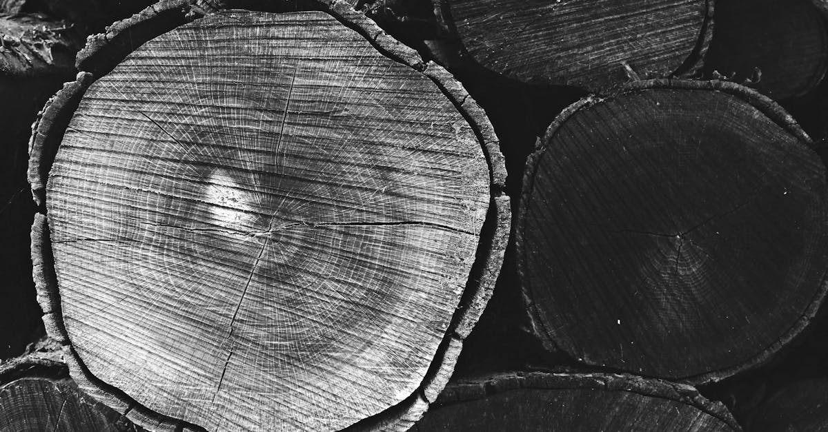 découvrez les réglementations essentielles concernant l’abattage d’arbres : autorisations, législation locale et bonnes pratiques pour une gestion responsable des espaces boisés.