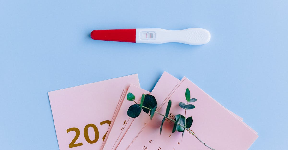 obtenez toutes les informations sur la carte de résident d'un an : conditions d'obtention, démarches, pièces à fournir, renouvellement et conseils pratiques pour réussir votre demande.