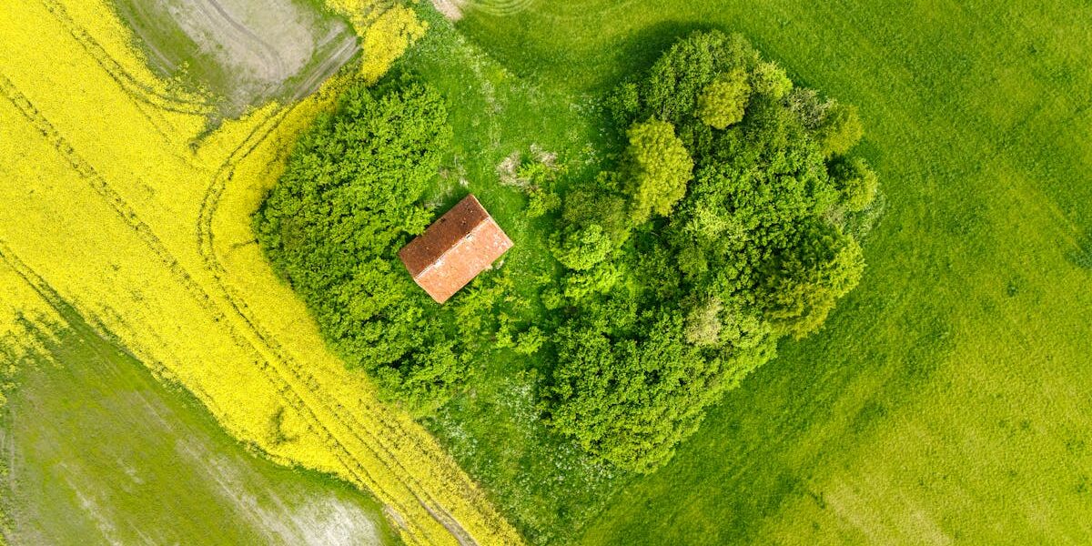 découvrez la signification, les causes et les conséquences de l'abandon, ainsi que des conseils pour surmonter ce sentiment et avancer vers une meilleure résilience émotionnelle.
