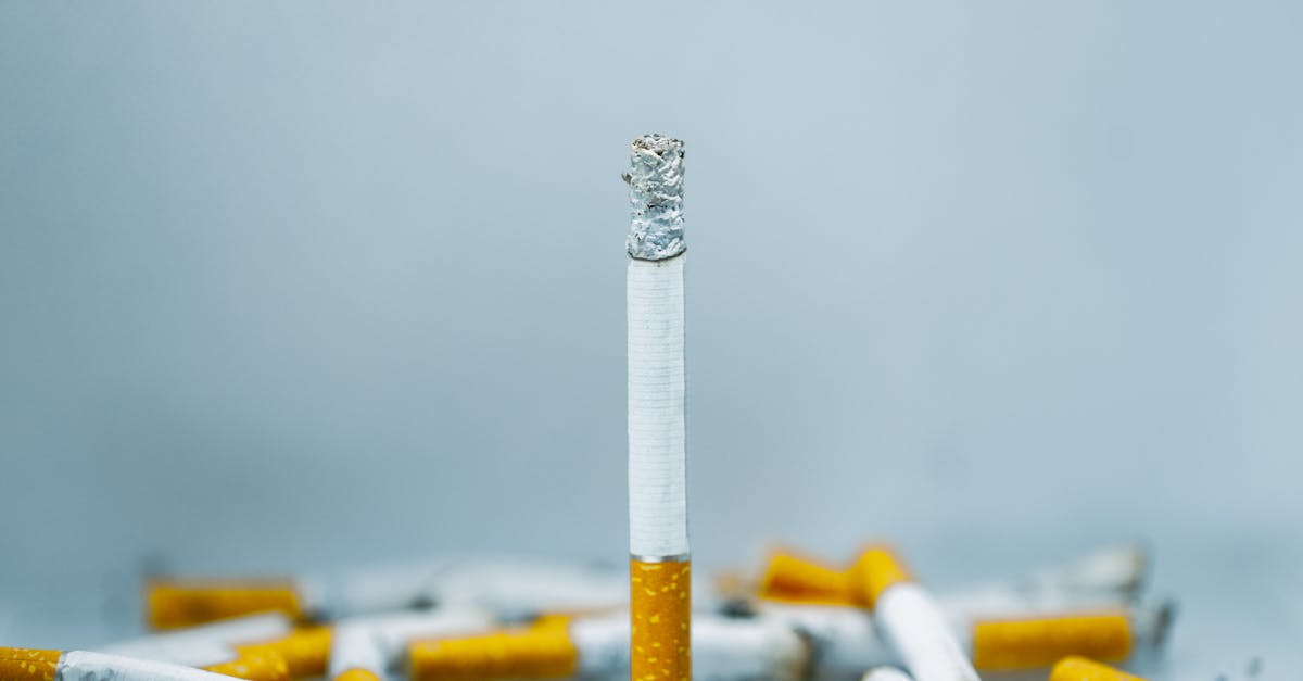 découvrez ce que signifie l'abandon, ses différentes formes et ses conséquences psychologiques. informations, conseils et accompagnement pour mieux comprendre et surmonter l'abandon.