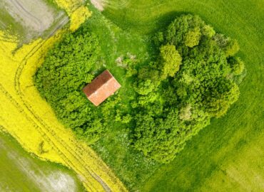 découvrez la signification, les causes et les conséquences de l'abandon, ainsi que des conseils pour surmonter ce sentiment et avancer vers une meilleure résilience émotionnelle.