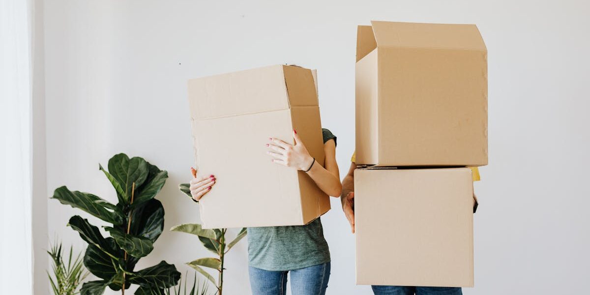 découvrez tout sur la cohabitation : conseils, avantages, règles à respecter et astuces pour vivre harmonieusement à plusieurs, que ce soit entre amis, en famille ou avec des colocataires.