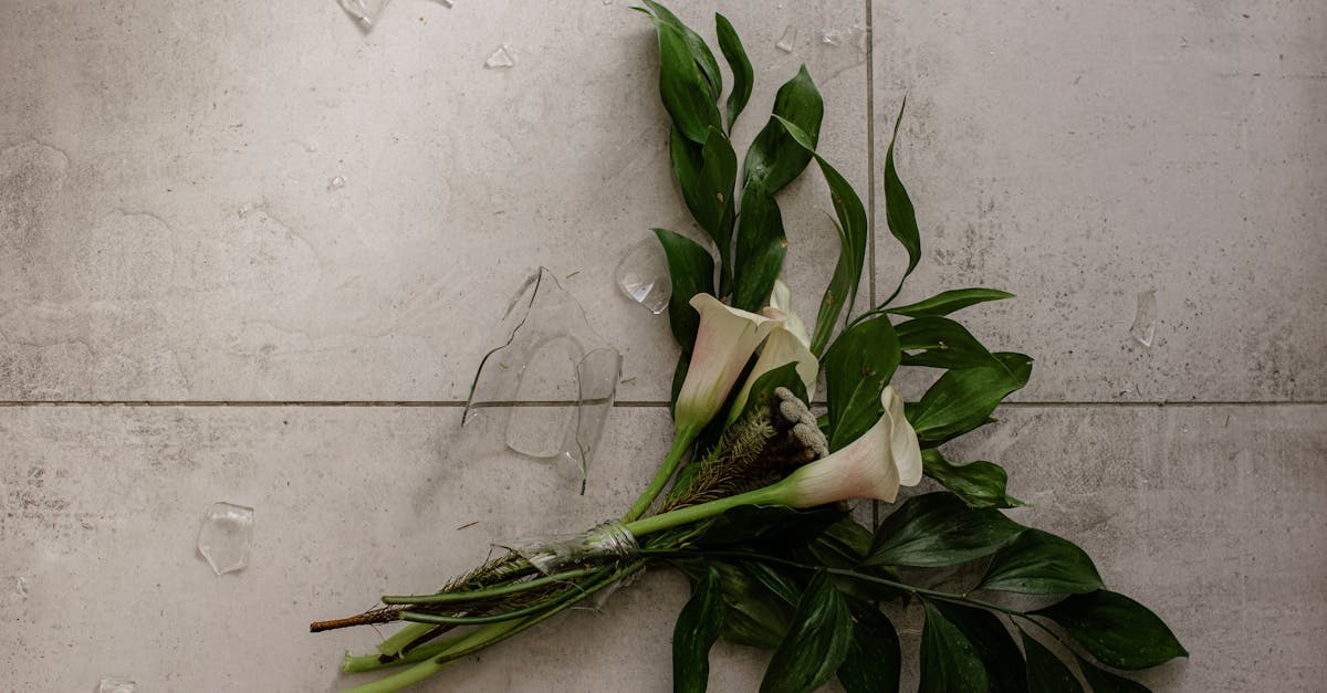 découvrez tout ce qu'il faut savoir sur le divorce : procédures, conseils juridiques, conséquences et démarches pour une séparation sereine et informée.