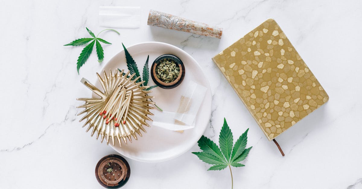 découvrez les différents recours juridiques disponibles pour faire valoir vos droits, comprendre les procédures et choisir la solution adaptée à votre situation en matière de justice.