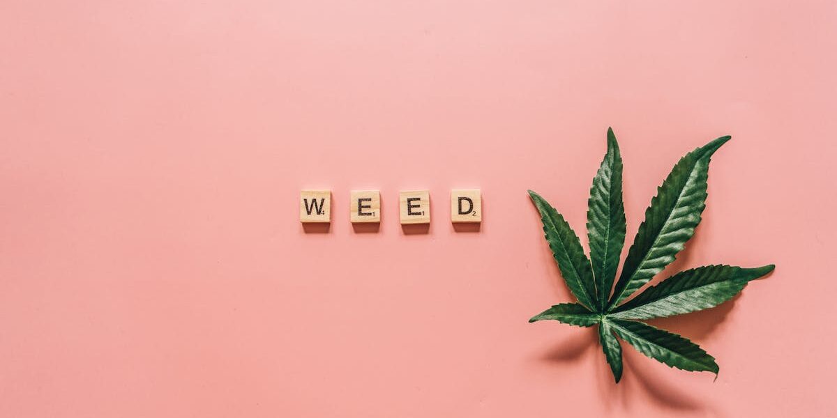 découvrez les principaux recours juridiques disponibles pour protéger vos droits, obtenir réparation ou faire valoir votre justice en cas de litige. explications claires sur les solutions légales possibles.