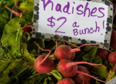 découvrez des informations complètes sur les prix actuels, les tendances du marché et des conseils pour trouver les meilleures offres adaptées à votre budget.