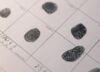 effectuez un background check en toute simplicité : vérifiez les antécédents professionnels et judiciaires rapidement et en toute sécurité. obtenez des informations fiables pour prendre des décisions éclairées.