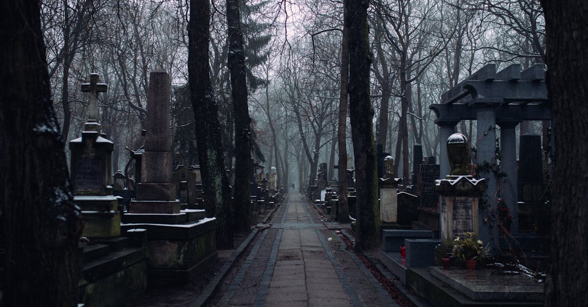 découvrez ce qu'est une death threat, les conséquences légales en france, comment réagir face à une menace de mort, et les ressources pour se protéger et porter plainte.