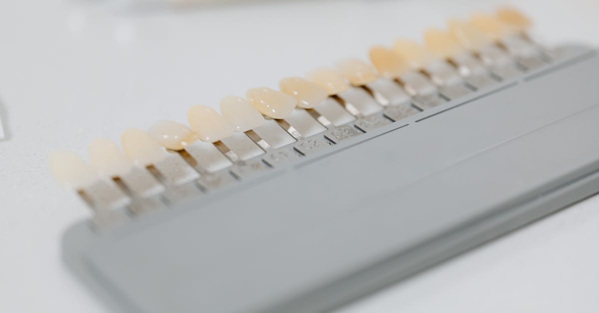 découvrez tout sur les prothèses dentaires : types, avantages, procédés et conseils pour retrouver un sourire fonctionnel et esthétique grâce à des solutions adaptées à chaque besoin dentaire.