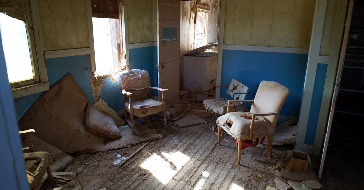 découvrez tout ce qu'il faut savoir sur les logements insalubres : définition, caractéristiques, risques pour la santé, obligations du propriétaire et recours pour les locataires en cas d'habitat indécent ou dangereux.